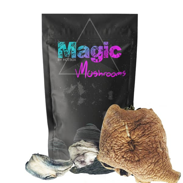 Golden Teacher Magic Mushrooms – Magic Box