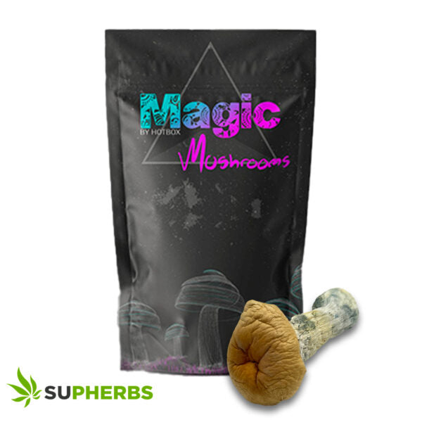 Hillbilly Gold Magic Mushrooms – Magic Box